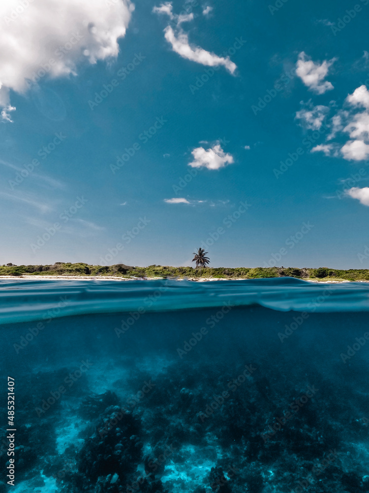 Fototapeta premium Snorkling in Catalina Island in Domincan Republic. Beautiful reef, only one that left for tourists.