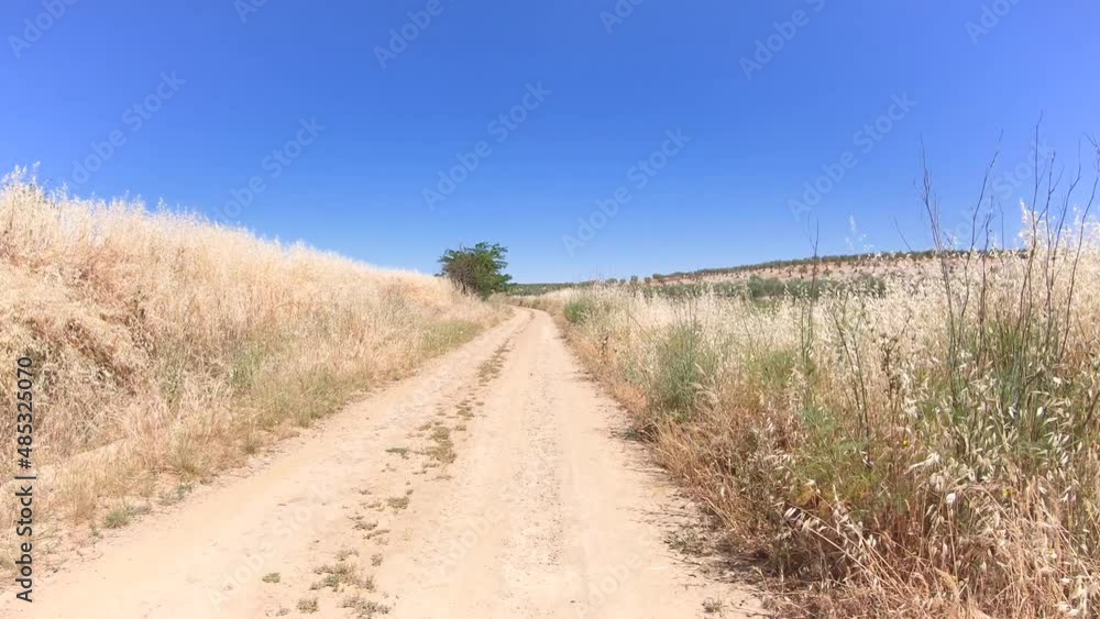 Via de la Plata, dirt road before arriving to Puebla de Sancho Perez, province of Badajoz, Extremadura, Spain - dolly forward 