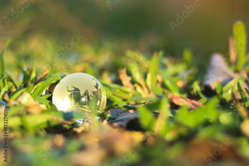 Earth on green grass on sunlight, Love and Save the World for the Next Generation concept, Earth day concept. © captain