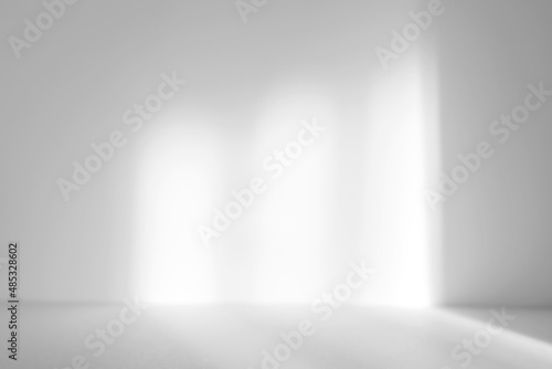 Fototapeta Naklejka Na Ścianę i Meble -  Abstract white studio background for product presentation. Empty room with shadows of arch window. 3d room with copy space. Summer concert. Blurred backdrop.