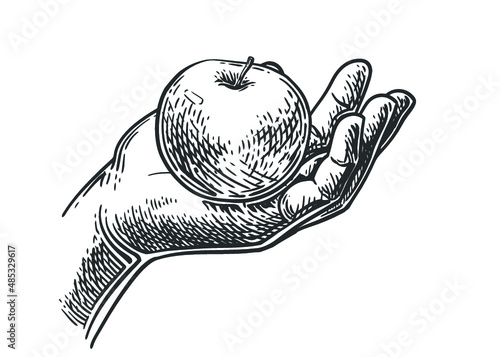 Hand holding apple. Vector engraving illustration for web, poster. Hand drawn design element isolated on white background.