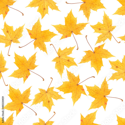 Seamless texture of autumn leaves. Autumn leaves.