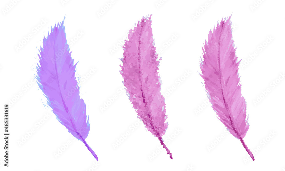Set of isolated watercolor feathers Set of isolated watercolor feathers