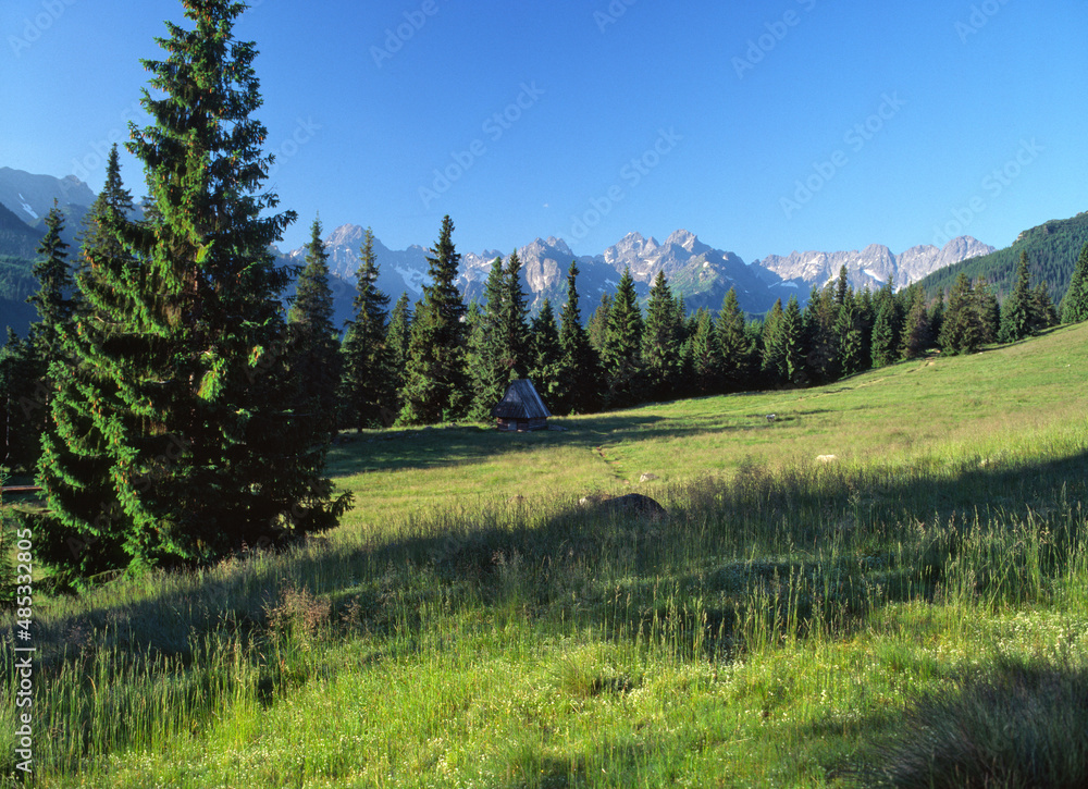 Rusinowa Polana and the Tatra (Tatry) Mountains, Poland