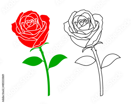 Red rose and outline style. Vector illustration for valentines day. Design for greeting card, invitation for wedding.