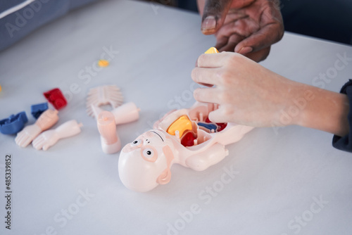 School child studying a model of the human anatomy at home near his father