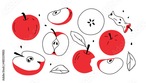 Set with red apple and apples slices. Hand drawn elements fruits core and half of apple. doodle, simple photo