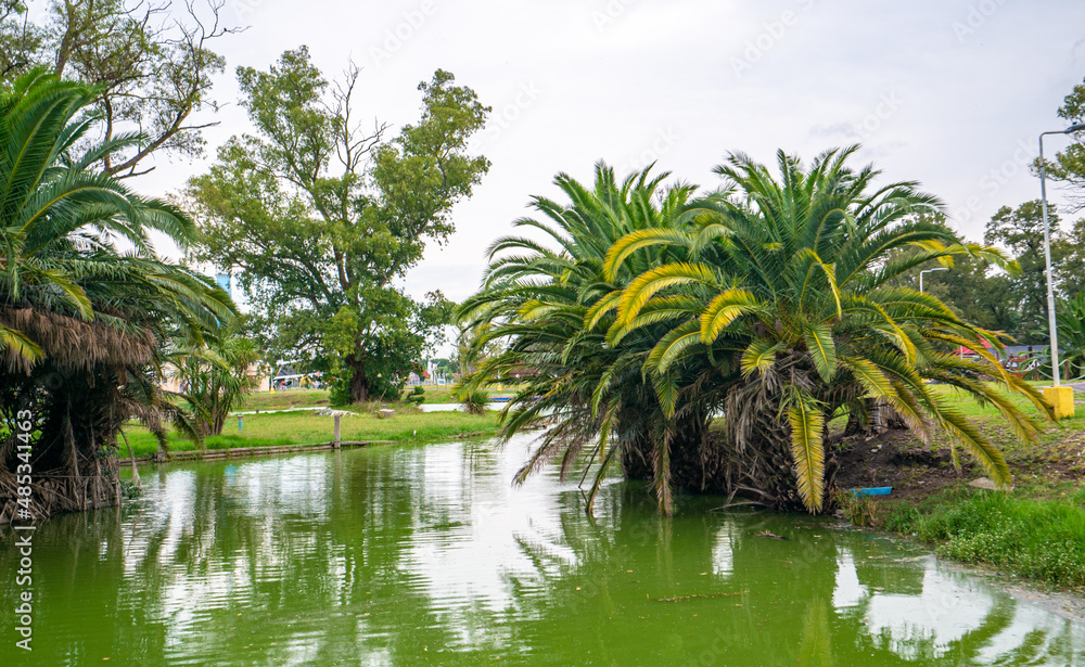 Lagoon in Republic of Children in Argentina Lagoon in Republic of Children in Argentina