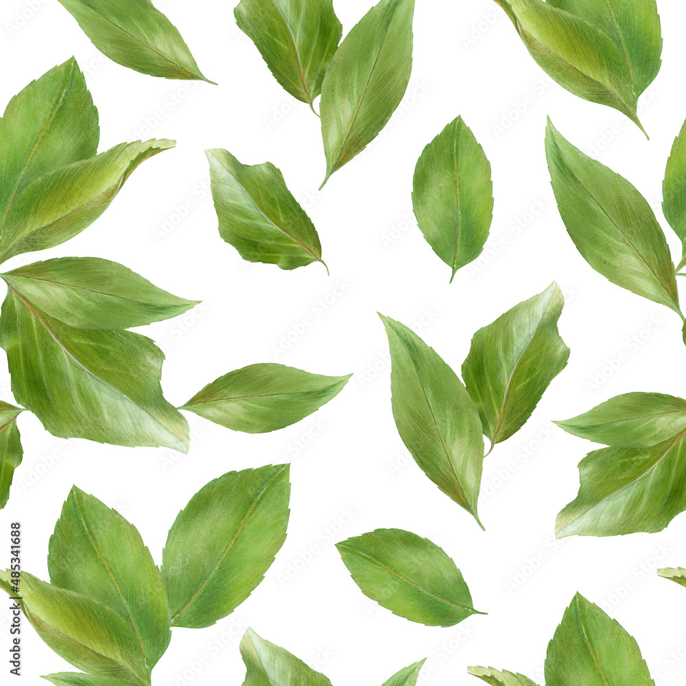 Naklejka premium Pattern with green apricot leaves, watercolor illustration