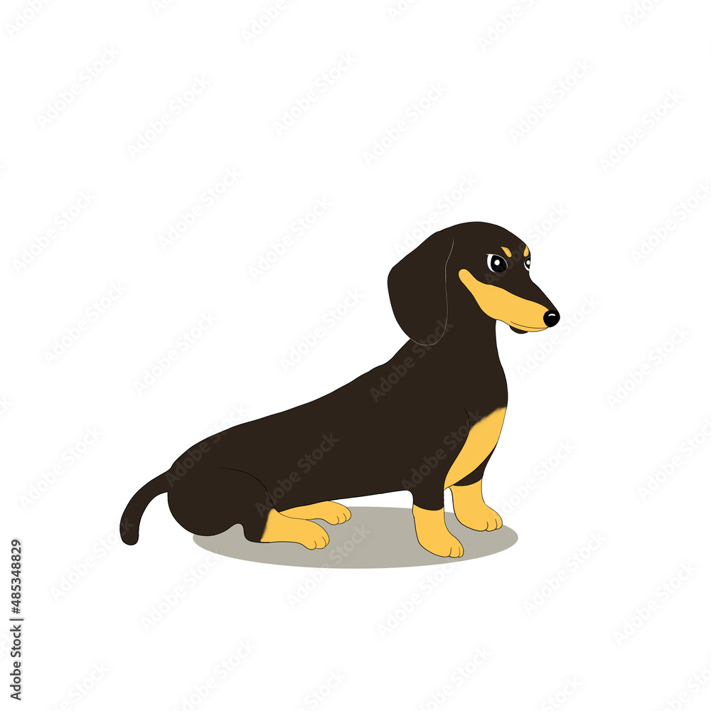 Black Dachshund dog cartoon vector
