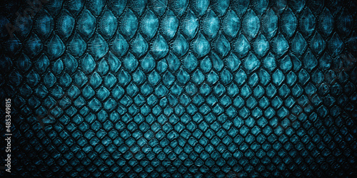 blue snake skin texture. ab...