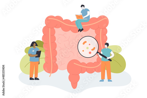 Team of tiny doctors checking bowel for inflammation. People examining intestines or colon  digestive system flat vector illustration. Health  medicine concept for banner or landing web page