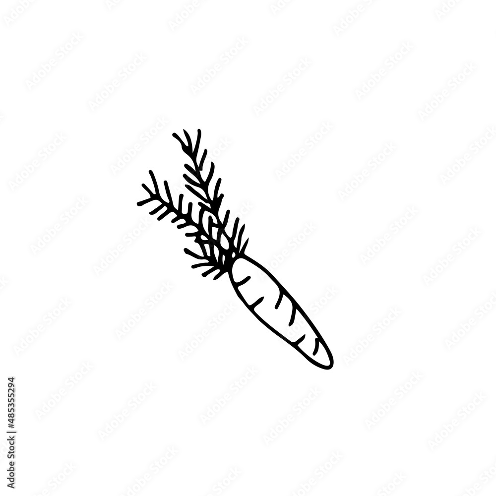 hand drawn outline element for easter, carrot hand drawn outline element for easter, carrot