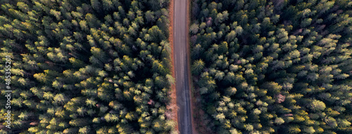 Aerial drone view of the road passing through the dense forest