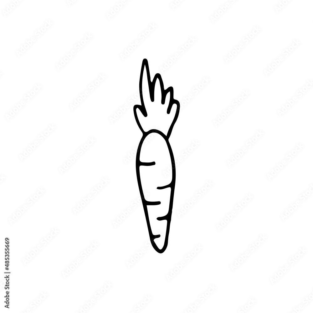 hand drawn outline element for easter, carrot hand drawn outline element for easter, carrot