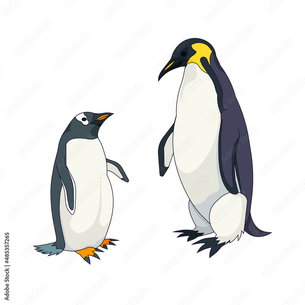 Fototapeta premium Gentoo penguin and Emperor penguin in Cartoon style, set of Aquatic flightless birds or penguins on white isolated background, concept of Pole bird and Antarctic Wildlife, Nature, Ornithology.