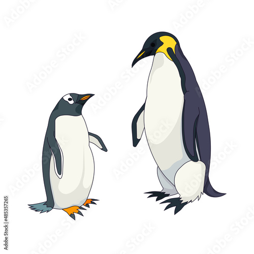 Gentoo penguin and Emperor penguin in Cartoon style, set of Aquatic flightless birds or penguins on white isolated background, concept of Pole bird and Antarctic Wildlife, Nature, Ornithology.