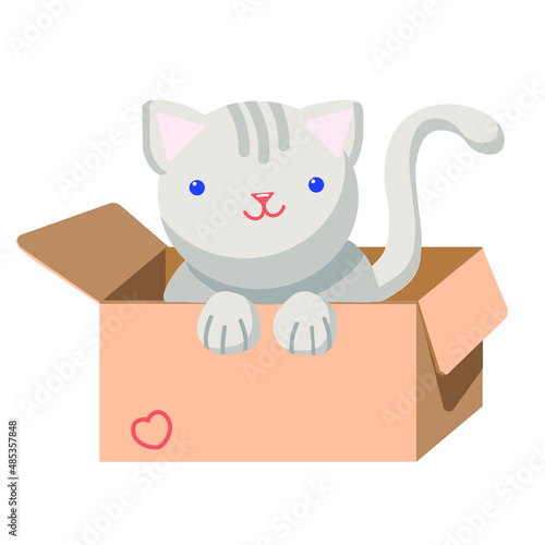 A kitten in a box. Assistance to homeless animals. For a volunteer organization. A stray kitten in a box.
