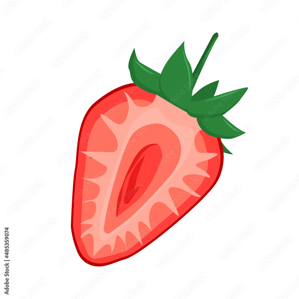 vector illustration of a strawberry cut in half, isolated on a white ...