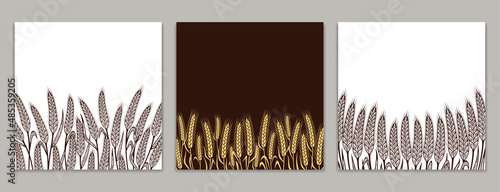 Vector wheat banners with copy space. Wheat, oat, rye or barley ears