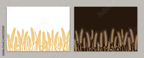 Vector horizontal wheat banners with copy space. Wheat, oat, rye or barley ears