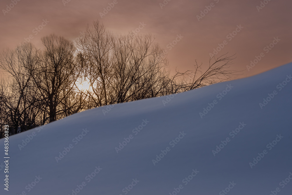 Snowy mountain and dawn behind the trees. Snowy mountain and dawn behind the trees.