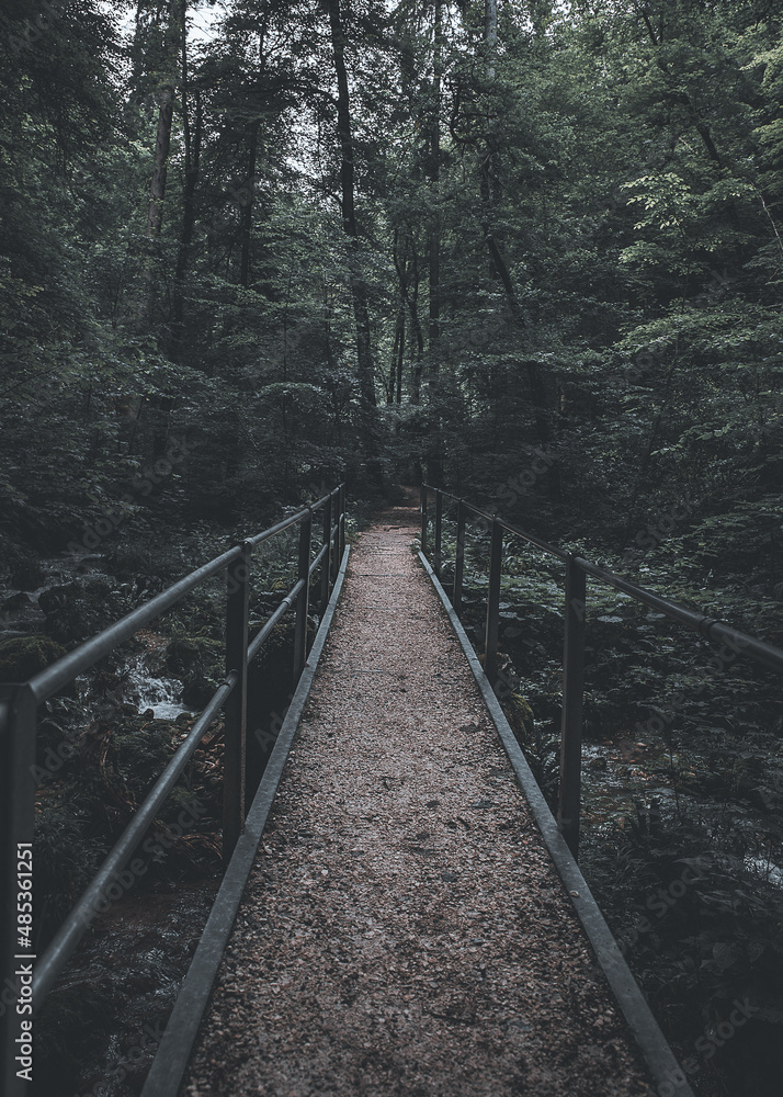 Fototapeta premium Brücke im Wald