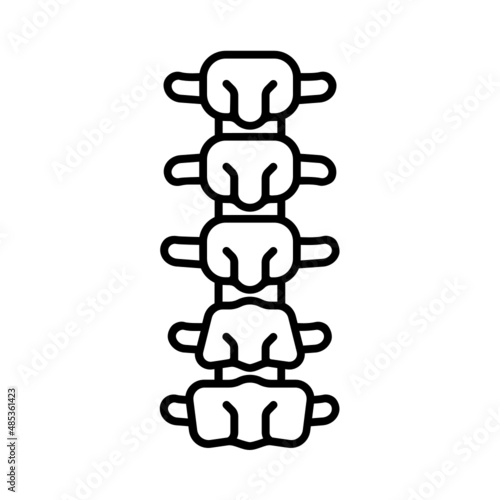 back bone