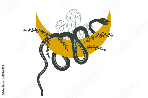 Mystic snake on the moon with crystals on a white background. Magical illustration for witchcraft and the occult. Flat vector illustration