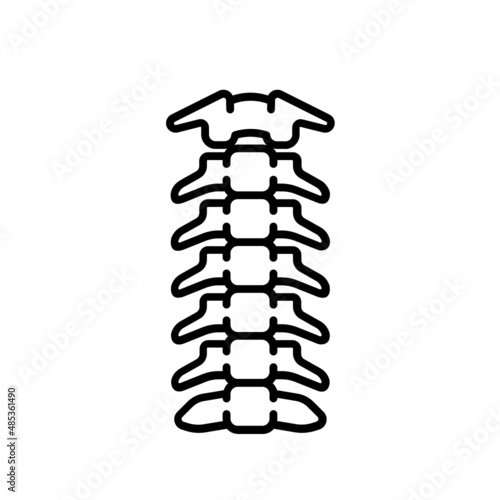 neck bone