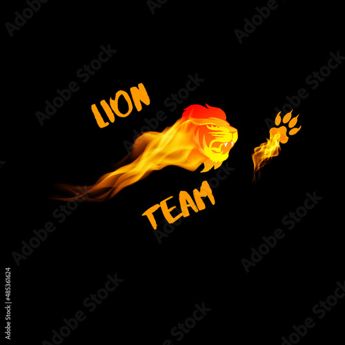 Для твоей команды! For your team!