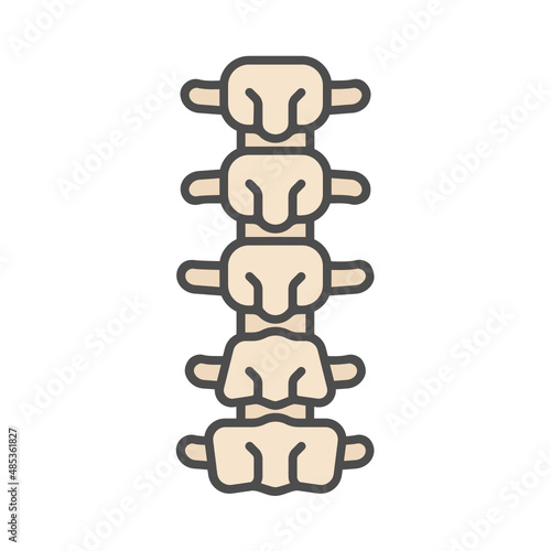 back bone