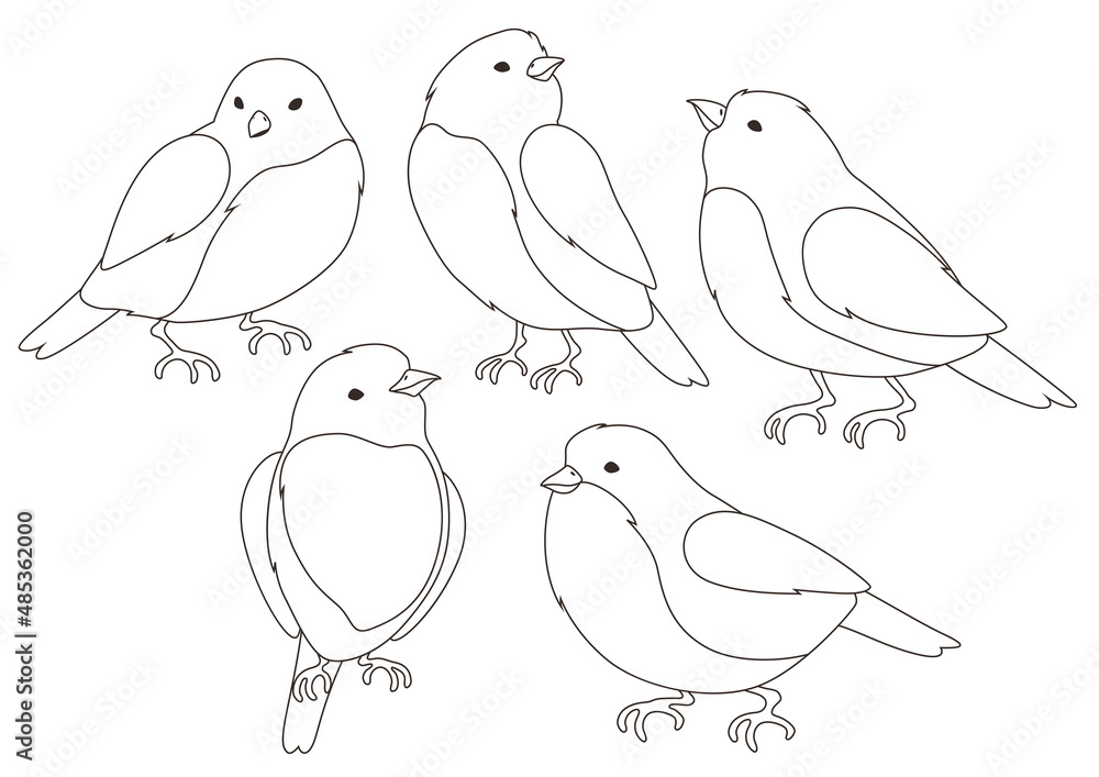 Set of stylized birds. Image of wild birdie in linear style. Set of stylized birds. Image of wild birdie in linear style.
