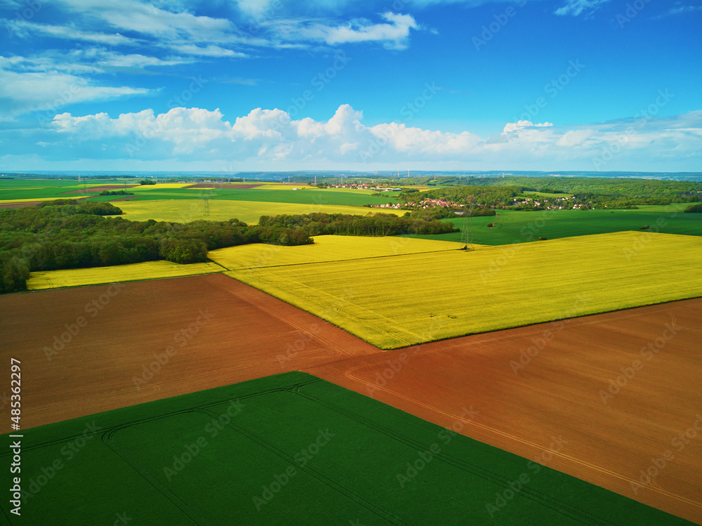 Obraz premium Aerial drone view of yellow rapeseed fields in Ile-de-France, France