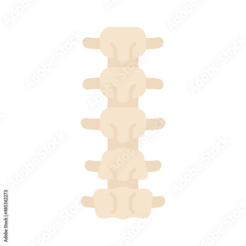 back bone