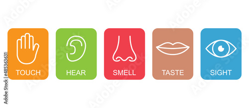 Outline icon set of five human senses: vision eye smell nose hearing ear touch hand taste mouth with tongue