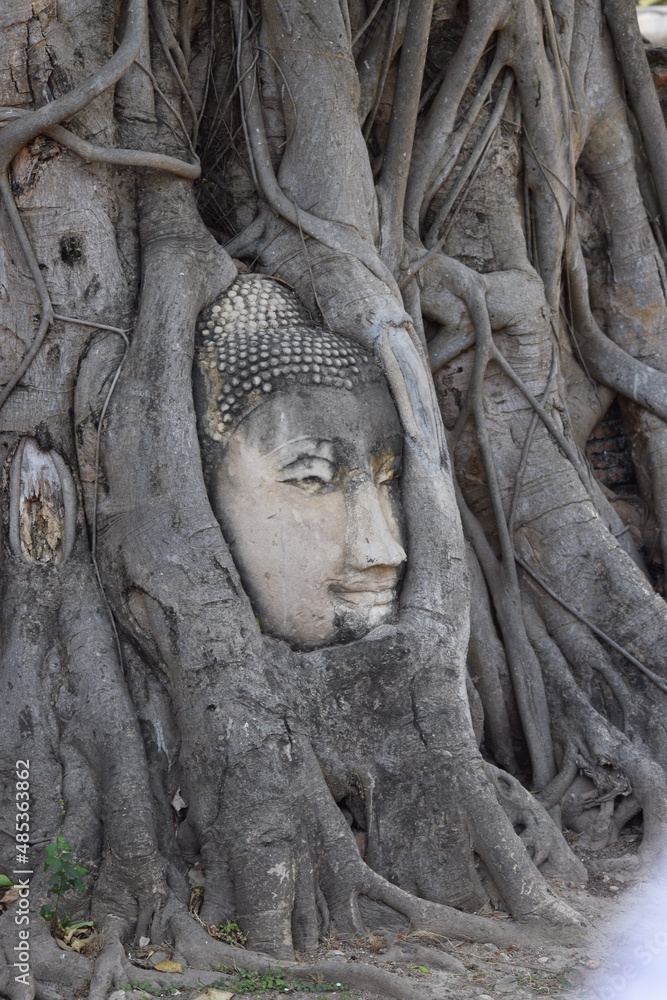 Boudha Boudha