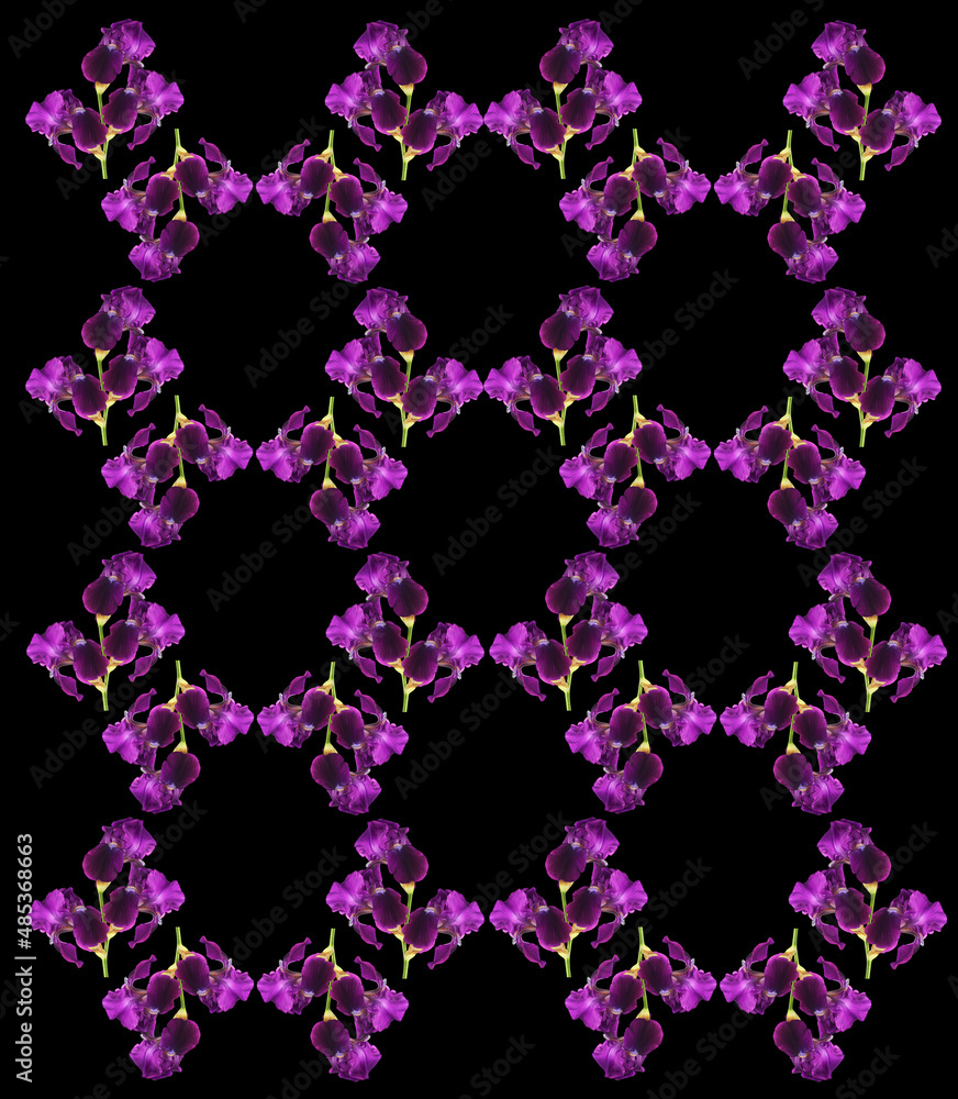 pattern of beautiful iris flowers on a black background