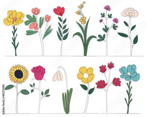 flowers, plants one line outline set, on abstract background,vector
