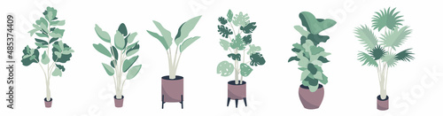 six kinds of flat style flowers