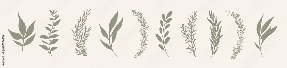Set of leaves. Hand drawn decorative green leaf element. - obrazy, fototapety, plakaty 