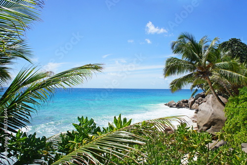 Beautiful palm beach on tropical Seychelles island. White sand beach with trees on shore Indian ocean. Paradise secluded beach at summer season.
