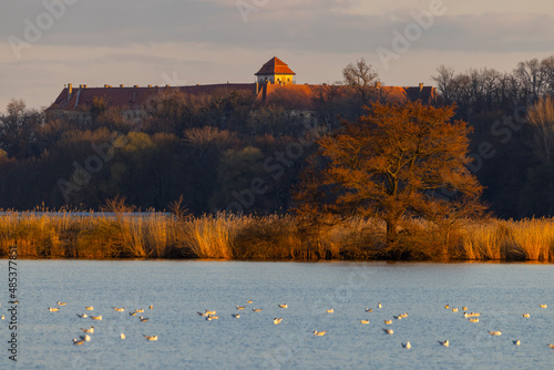 Jaroslavice castle with pond, Znojmo region, Southern Moravia, Czech Republic photo