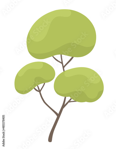 Deciduous tree with a green crown. Vector illustration isolated on white background  cartoon style.