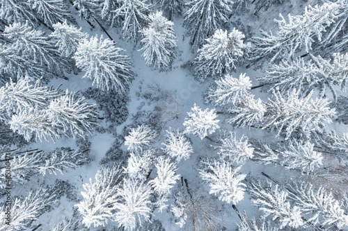 Spruce forest on the north, beautiful aerial top view. Amazing winter scene. Christmas theme. Winter background. Winter forest aerial view. Amazing nature landscape.