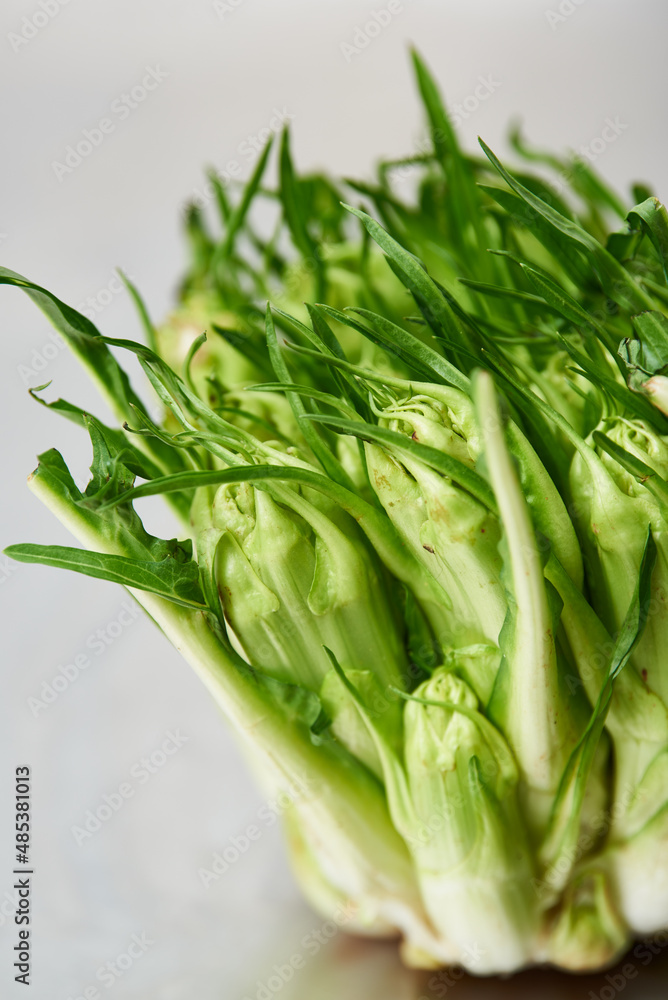 Obraz premium chicory on the kitchen table