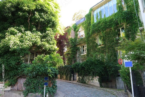 Façades végétalisées dans une rue de la ville de Paris, maisons couvertes de lierre grimpant (hedera helix), en été, dans une ruelle pittoresque (France)