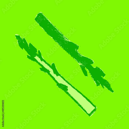 Vector asparagus icon. Pencil textures. Green sparrow grass illustration isolated. Vegan restaurant logo, vegetarian symbol. Homemade cooking sign. Vegetable drawing for label. Asparagus officinalis.
