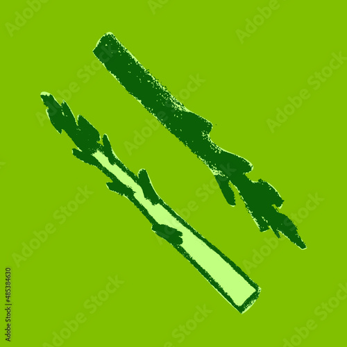 Vector asparagus icon. Pencil textures. Green sparrow grass illustration isolated. Vegan restaurant logo, vegetarian symbol. Homemade cooking sign. Vegetable drawing for label. Asparagus officinalis.