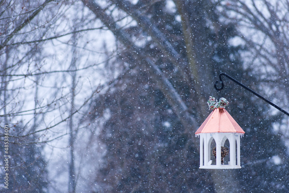 snow covered bird house